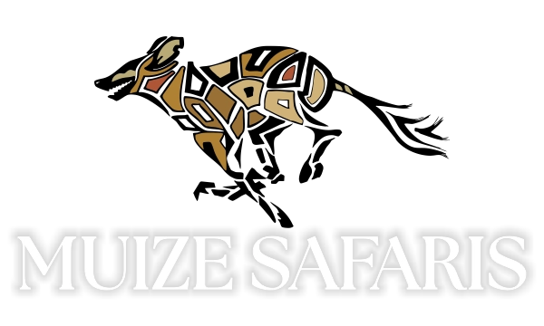 Muize Safaris